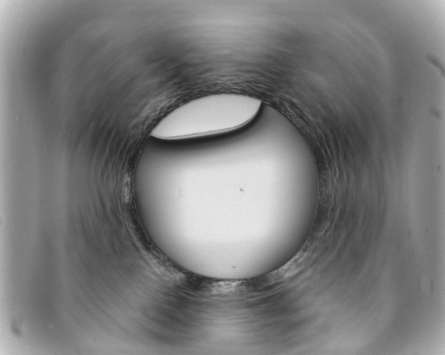 X0000094220090200710261002