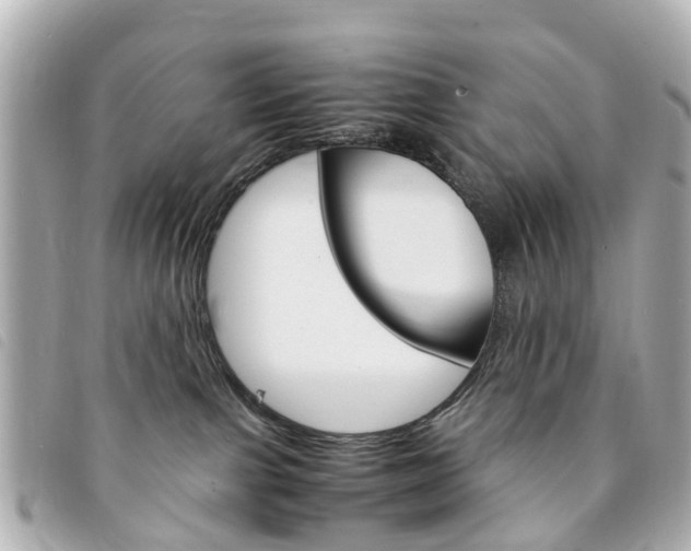 X0000094220091200710261002