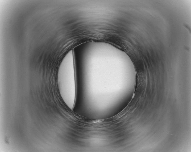X0000094220092200710261002