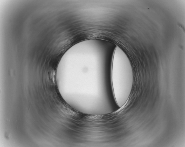 X0000094220094200710261002