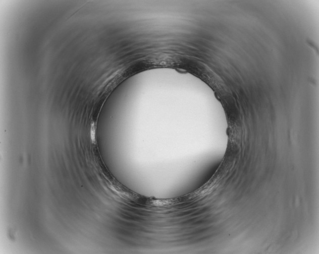 X0000094220095200710261002
