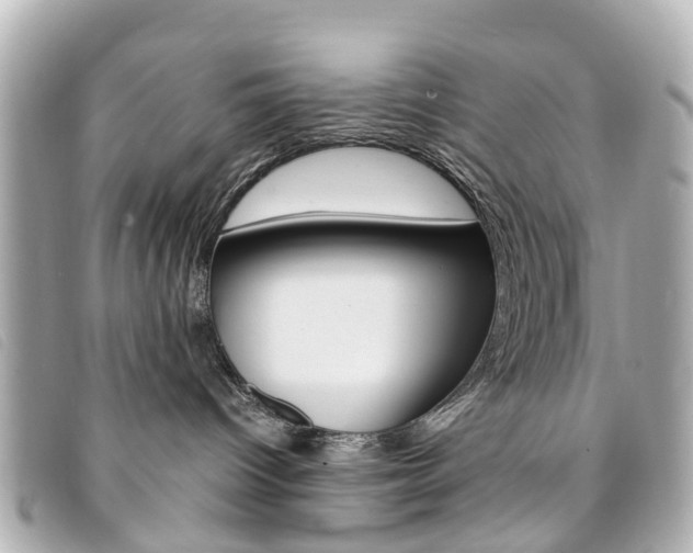 X0000094220096200710261002