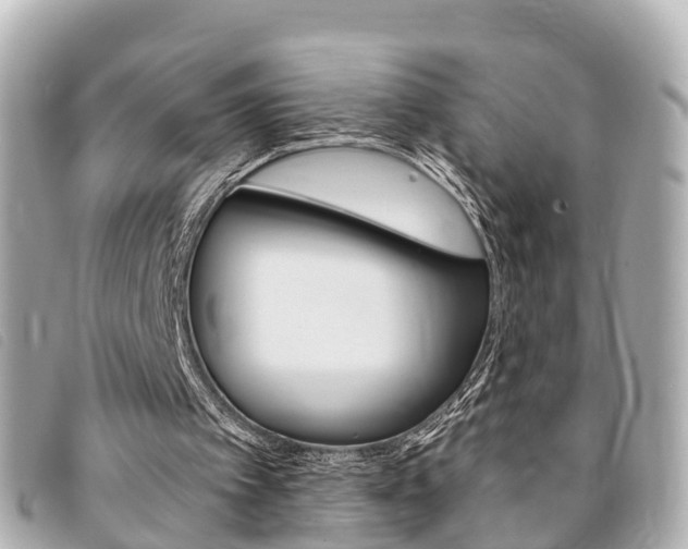 X0000094220097200710261002