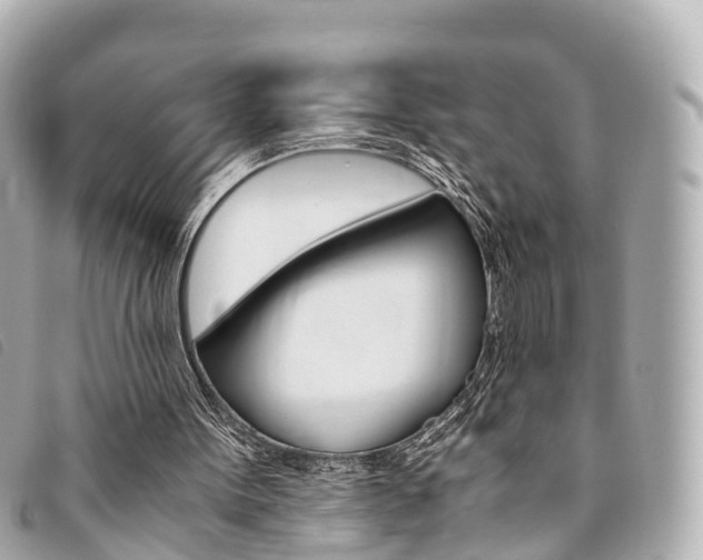X0000094220099200710261002