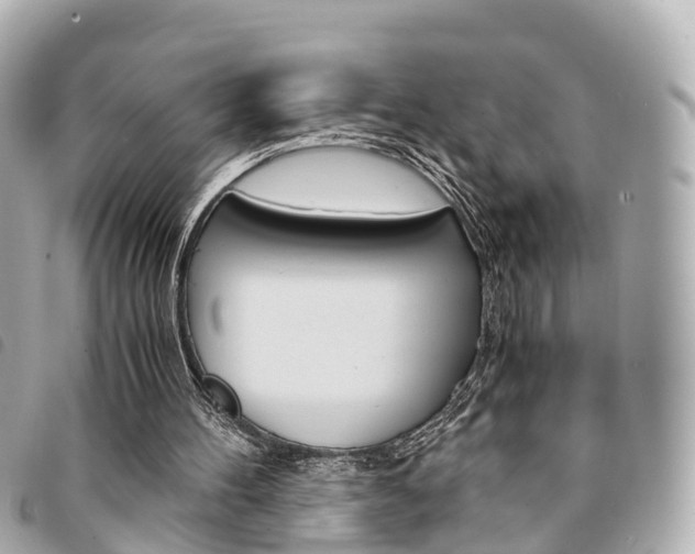 X0000094220100200710261002