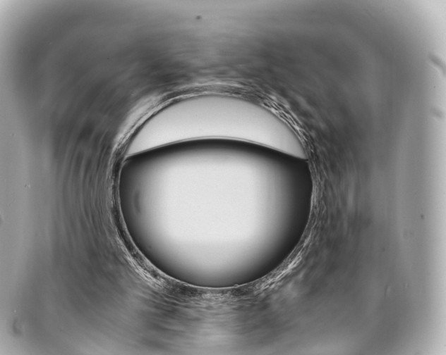 X0000094220101200710261002