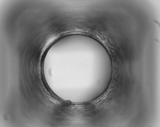 X0000094220102200710261002