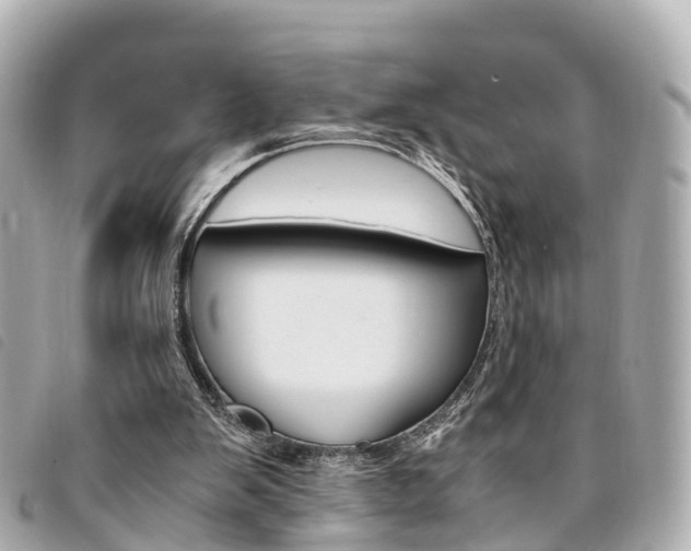 X0000094220103200710261002