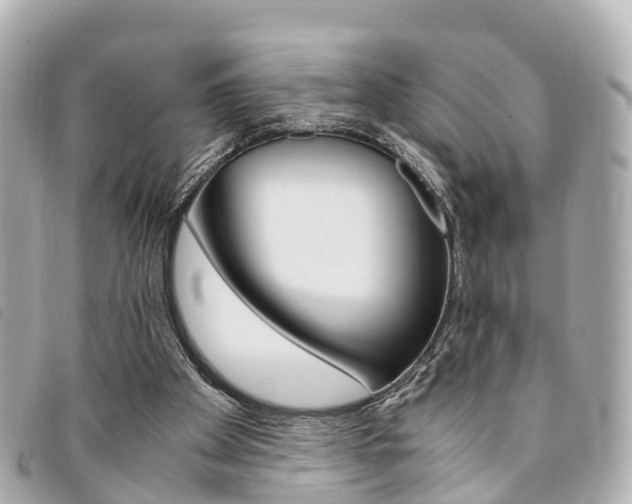 X0000094220105200710261002
