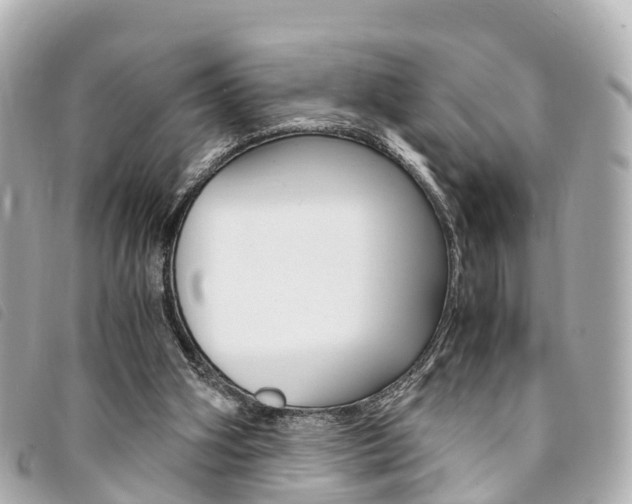 X0000094220106200710261002