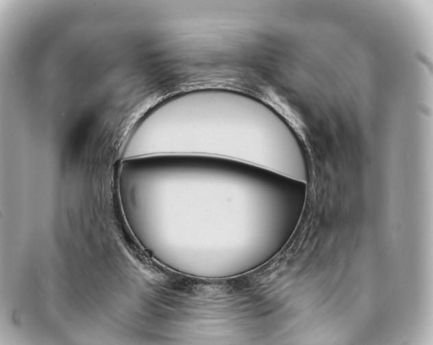 X0000094220107200710261002