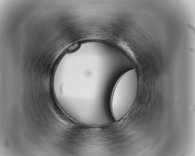 X0000094220108200710261002