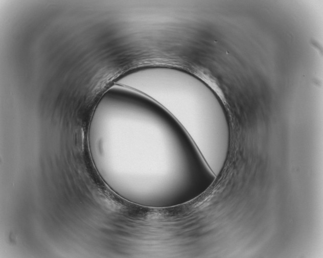 X0000094220109200710261002