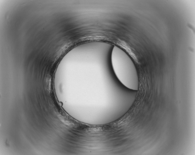X0000094220110200710261002