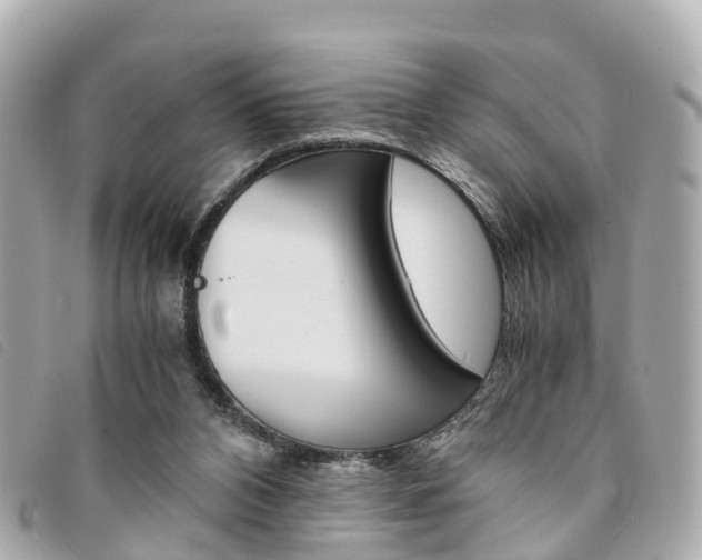 X0000094220112200710261001