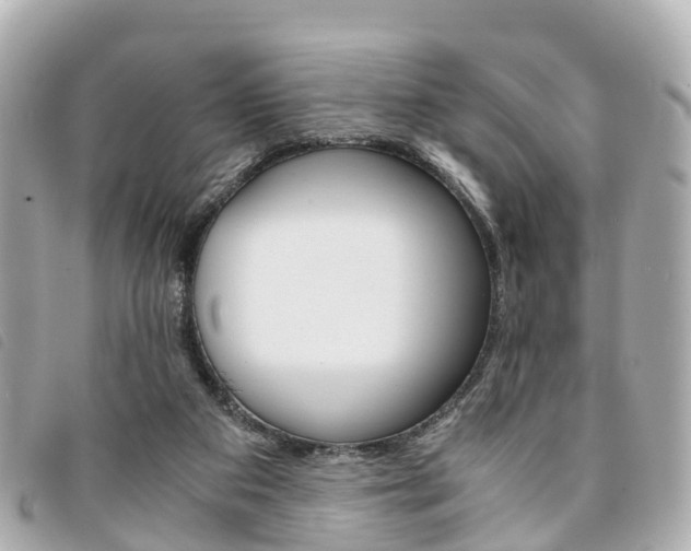 X0000094220113200710261001