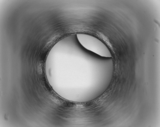 X0000094220114200710261001