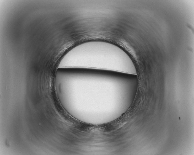 X0000094220115200710261001