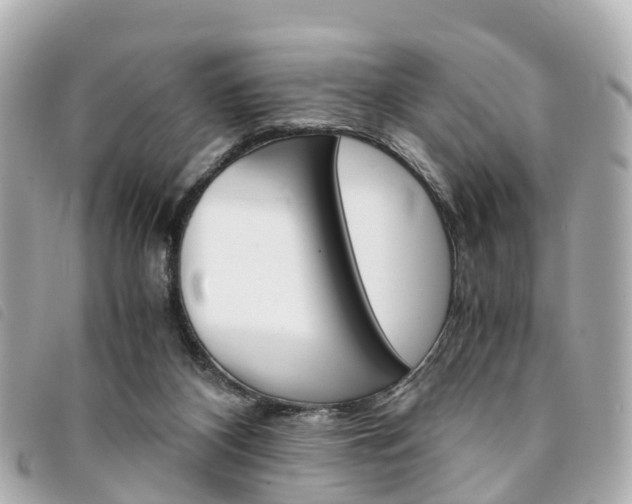 X0000094220116200710261001