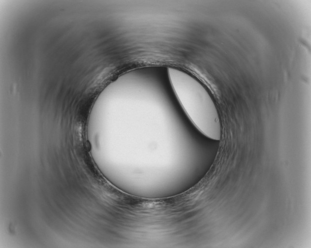 X0000094220117200710261001