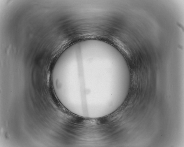 X0000094220118200710261001