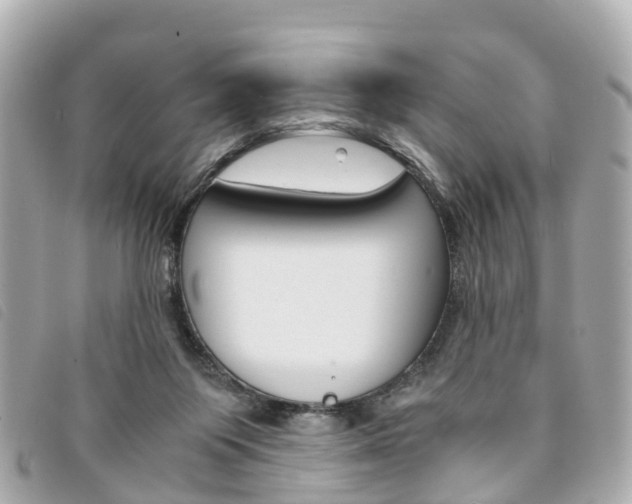 X0000094220119200710261001