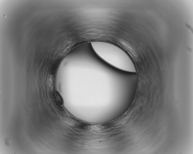 X0000094220121200710261001