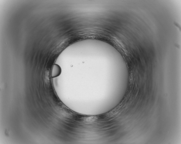X0000094220122200710261001