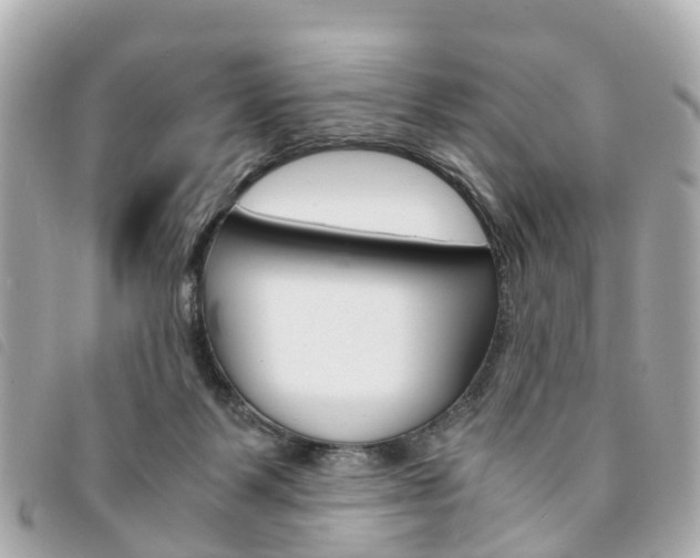 X0000094220123200710261001