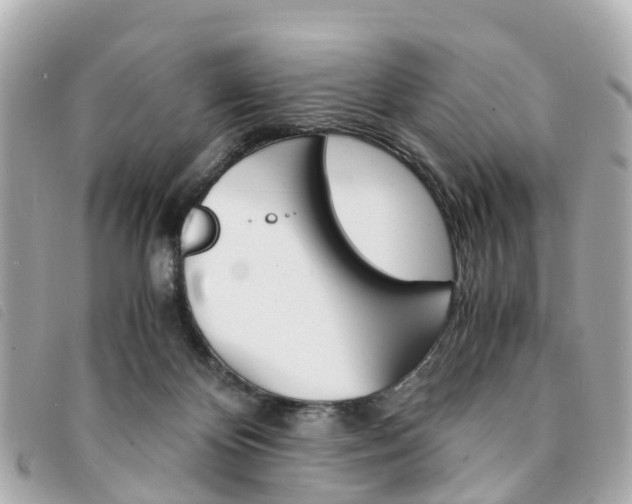 X0000094220124200710261001