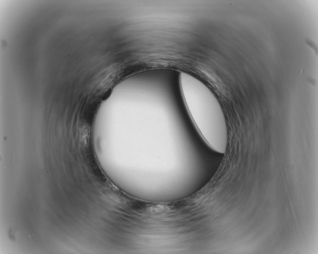 X0000094220125200710261001