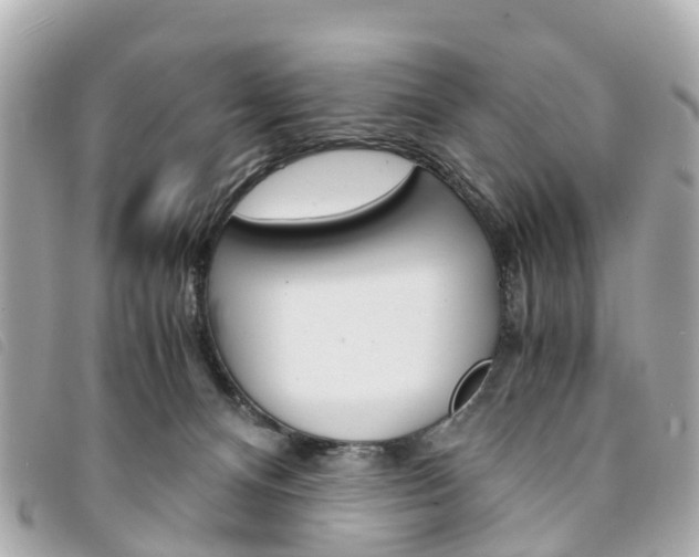 X0000094220128200710261001