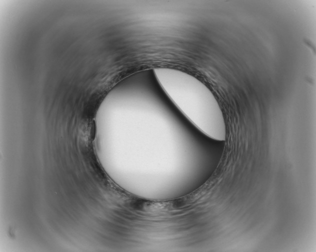 X0000094220129200710261001