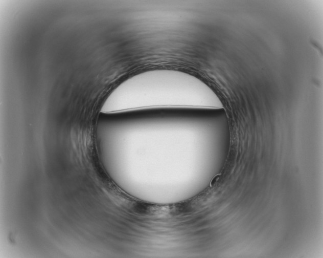 X0000094220131200710261001