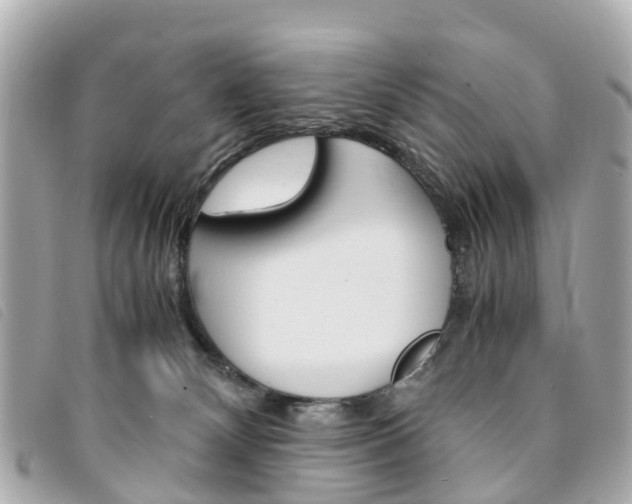 X0000094220132200710261001