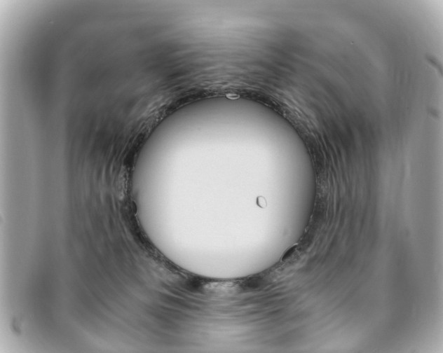 X0000094220133200710261001