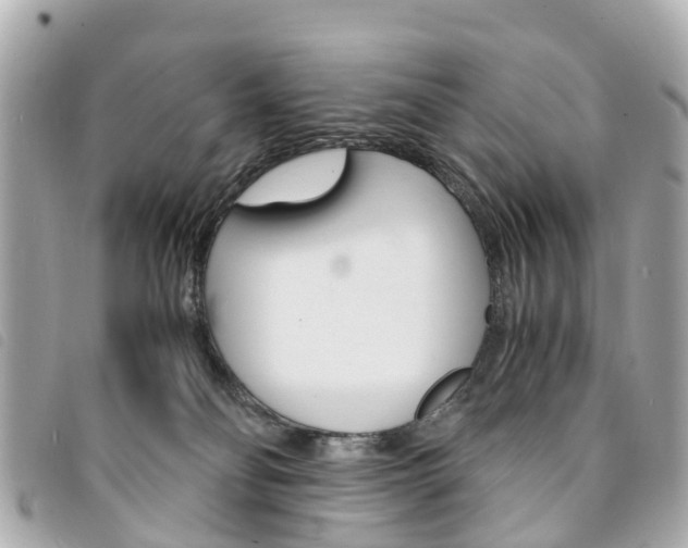 X0000094220134200710261001