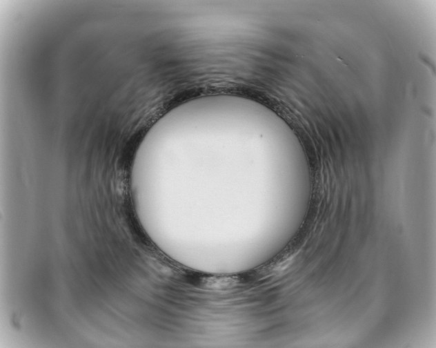 X0000094220135200710261001