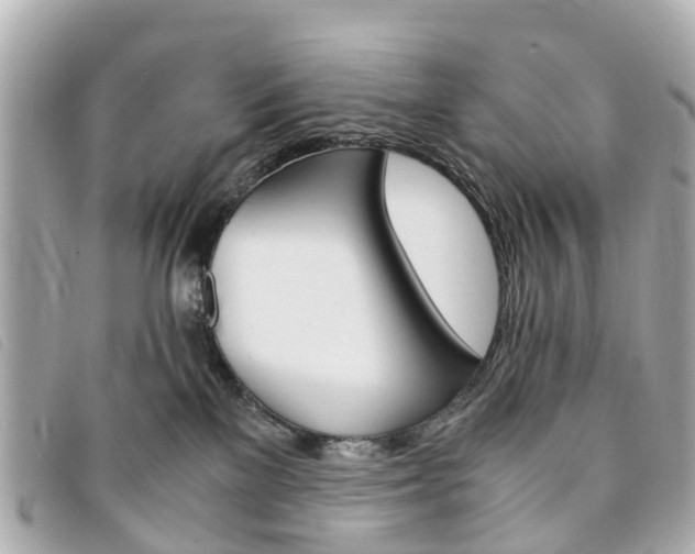 X0000094220137200710261001