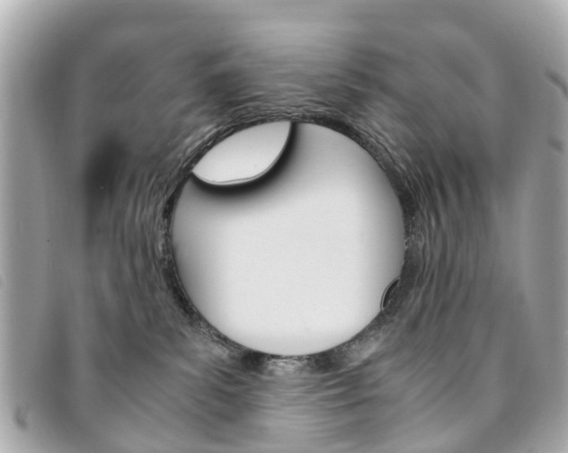 X0000094220139200710261001