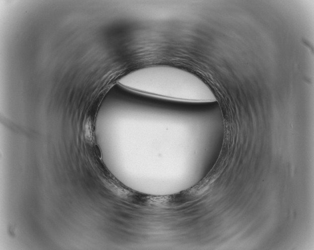 X0000094220143200710261001