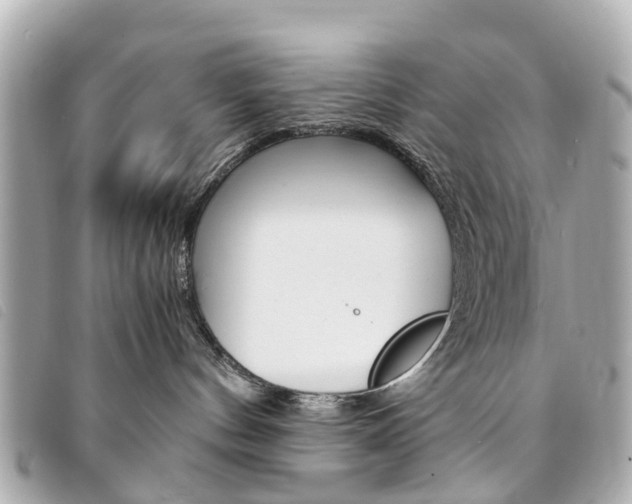 X0000094220144200710261001