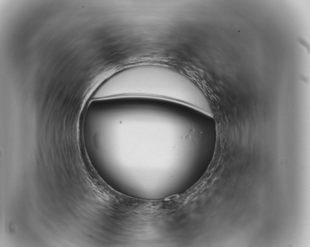 X0000094220148200710261001