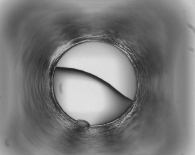 X0000094220149200710261001
