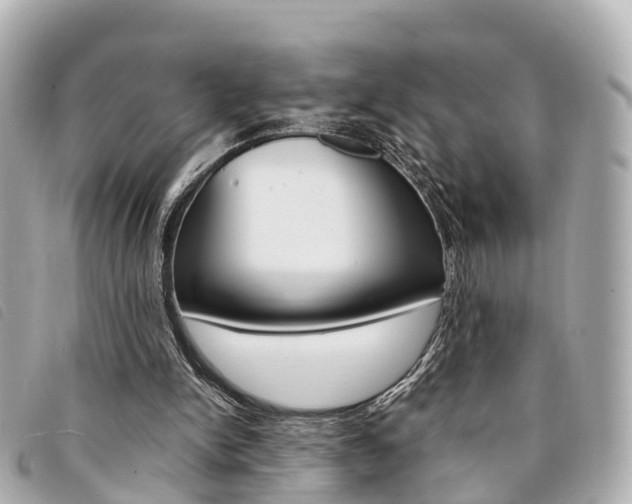 X0000094220150200710261001