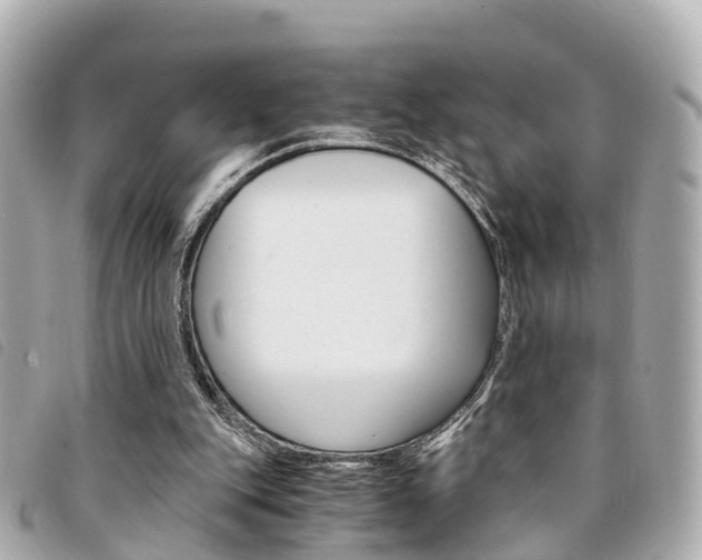 X0000094220151200710261001