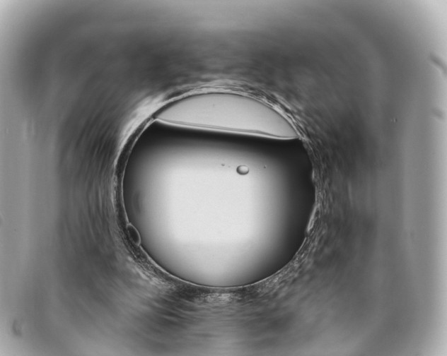 X0000094220152200710261001