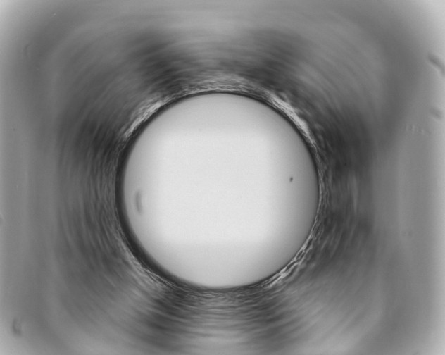 X0000094220154200710261001