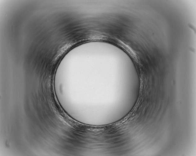 X0000094220155200710261001