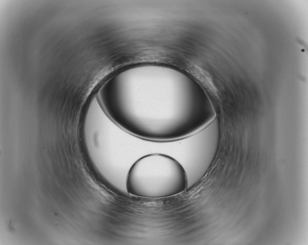 X0000094220156200710261001